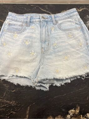 American Eagle Outfitters Women's Denim Blue Jeans Embroidered Daisy Shorts Sz 2